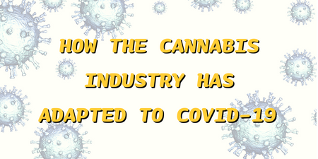 How Has COVID-19 Affected The Cannabis Industry?