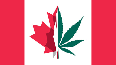 Legalization in Canada: What Does it Mean for Concentrate Enthusiasts?